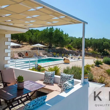 Skoumas Surrounded By Olive Trees!